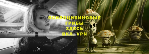 соль ск Алексин