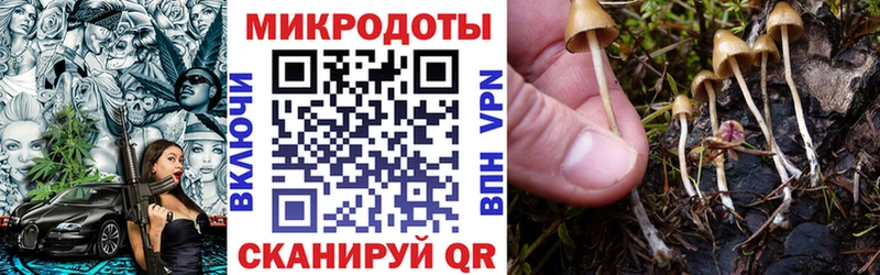 Галлюциногенные грибы прущие грибы  KRAKEN ONION  Ковылкино 